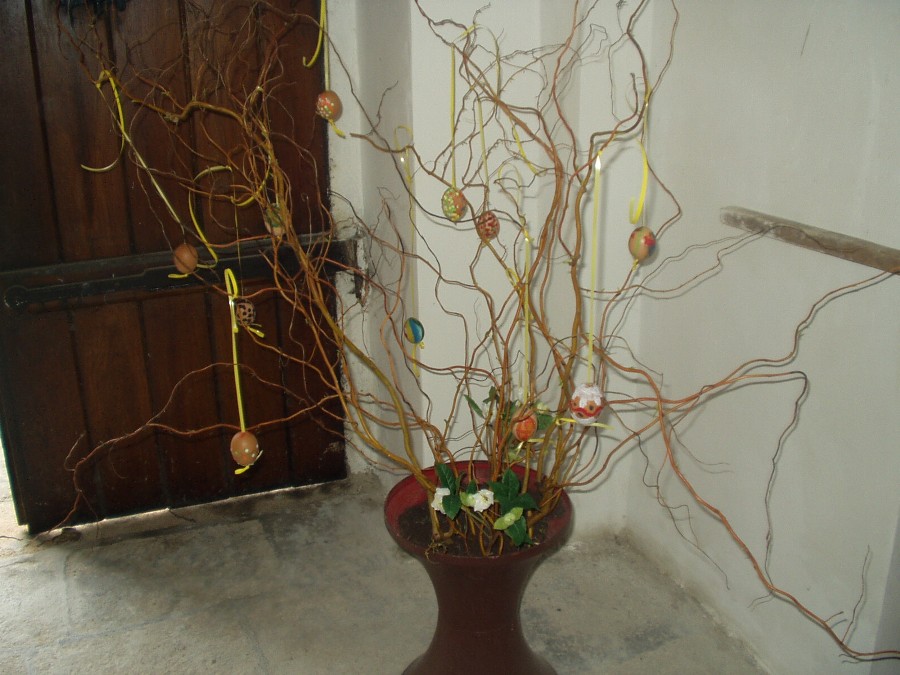 P1010046