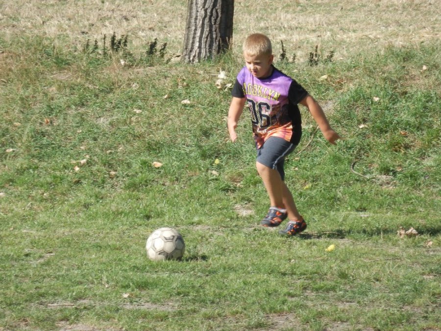 STALO SE       (28)