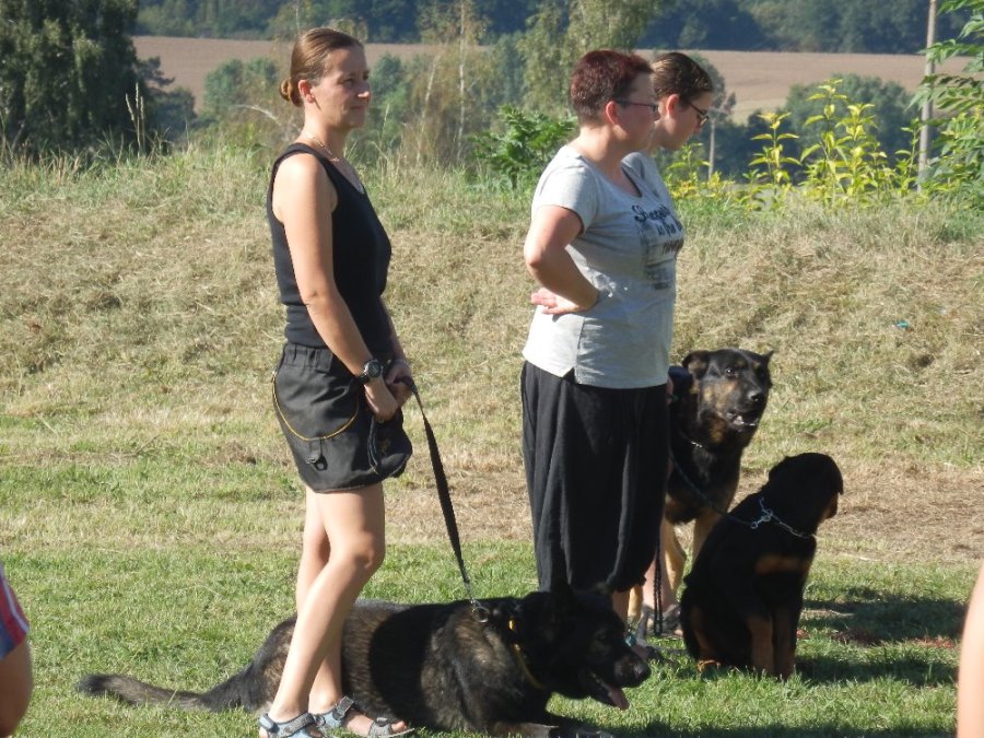 STALO SE       (29)